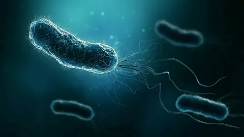 Infecția cu Helicobacter pylori  - Clinica Veronica